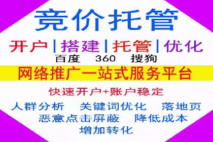 某某sem推广公司实战案例：精准投放提升转化率